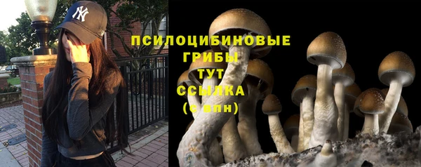 каннабис Бородино