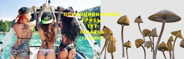 сатива Бугульма