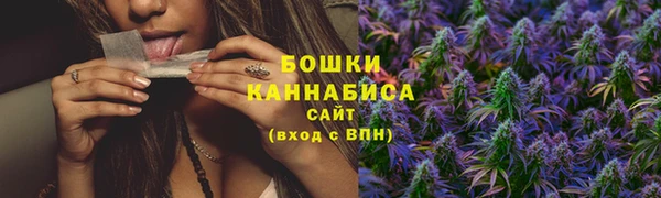сатива Бугульма