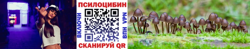 Псилоцибиновые грибы MAGIC MUSHROOMS  Новосокольники 